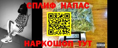 прущие грибы Краснодар