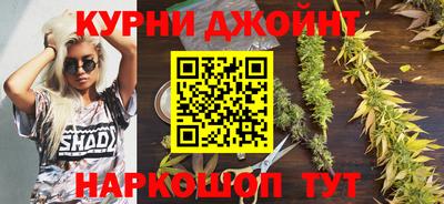 прущие грибы Краснодар