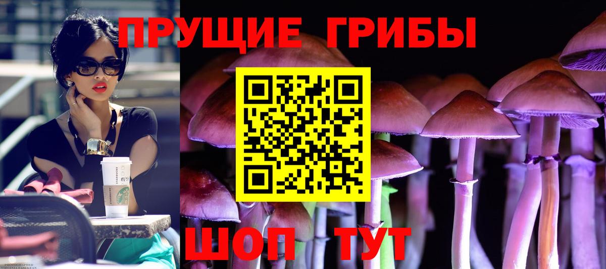 Галлюциногенные грибы Magic Shrooms Всеволожск