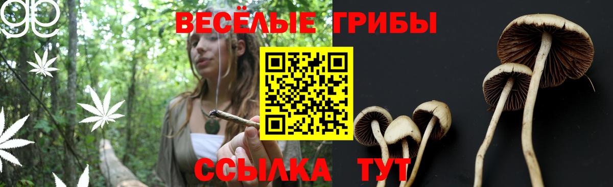 Галлюциногенные грибы Psilocybe  Галлюциногенные грибы ЛСД  Вход с VPN  Всеволожск 
